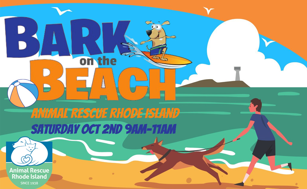 Fundraising Tips For Bark On The Beach