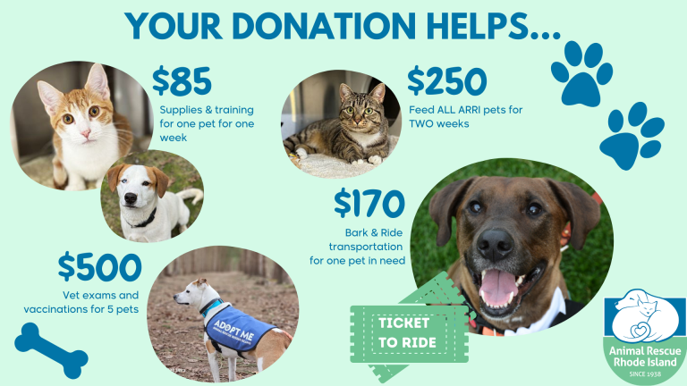 information about how ARRI uses donations to help shelter animals