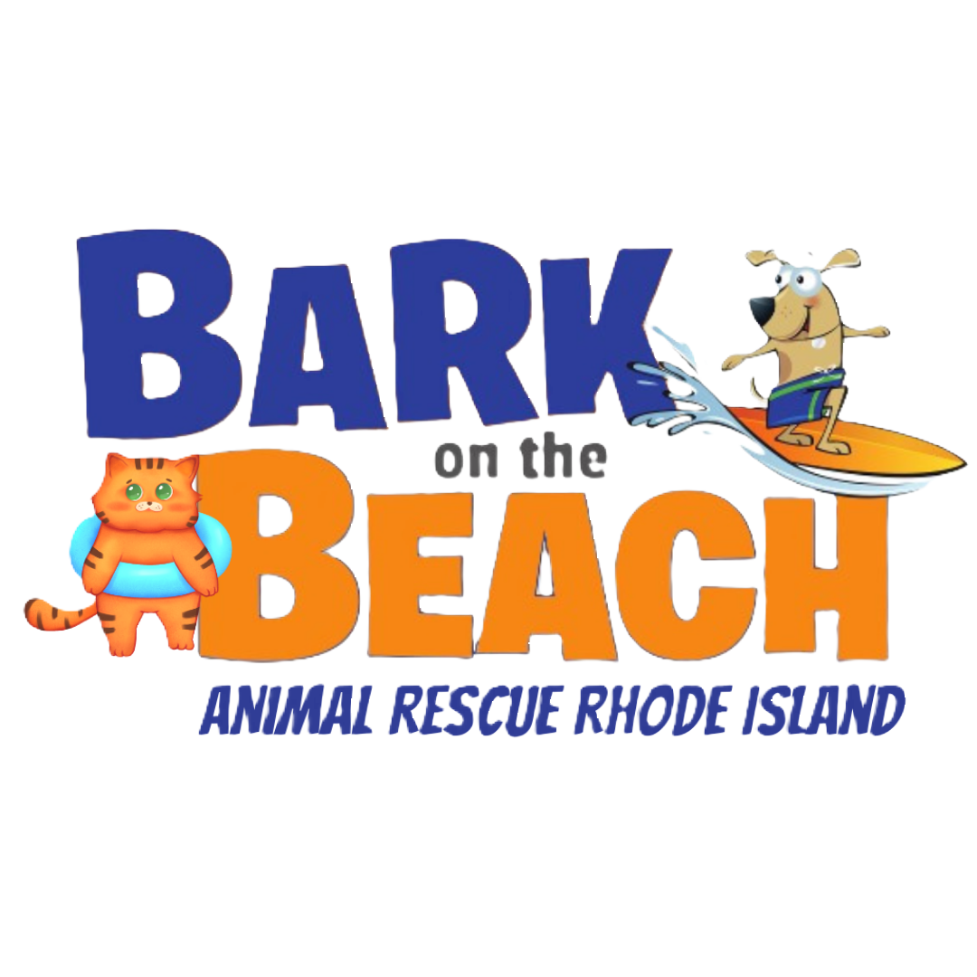 Bark on the Beach 2024